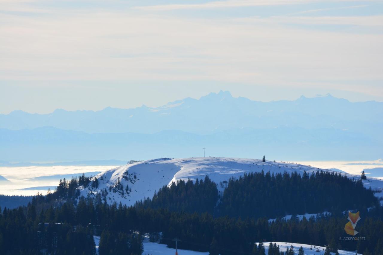 Blackfoxrest Ferienwohnung Feldberg  Exterior foto